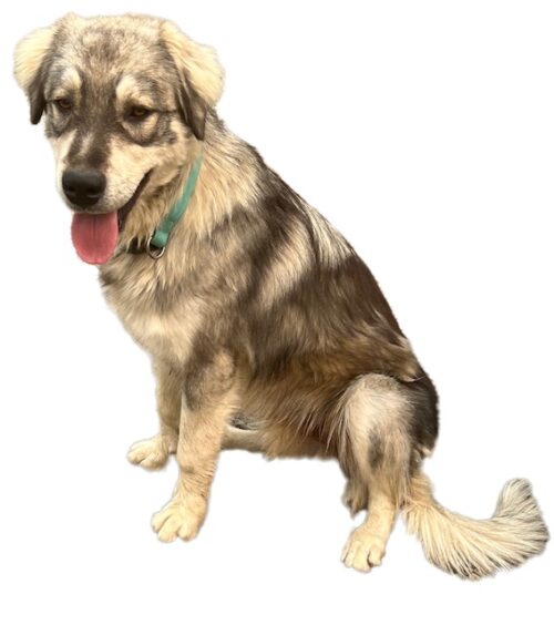 TEST (for Webmaster)